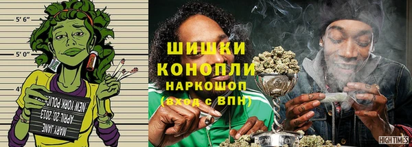ПСИЛОЦИБИНОВЫЕ ГРИБЫ Тутаев